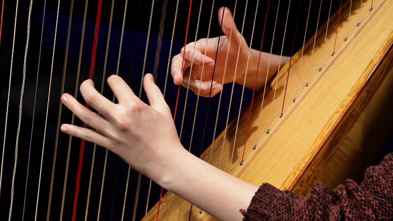 Närbild på vita kvinnohänder som spelar på harpa