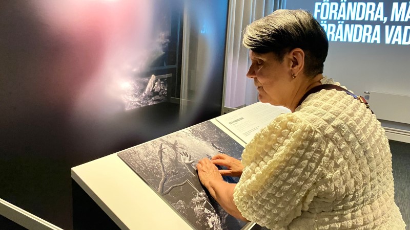 En äldre vit gråhårig kvinna med vit stickad tröja, känner med händerna på en reliefbild på en utställning