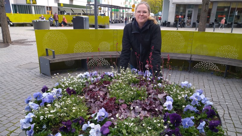 Leende blond kvinna glasögon och det blonda håret i tofs böjd över en stor urna full av blommor i olika blå och vita nyanser.