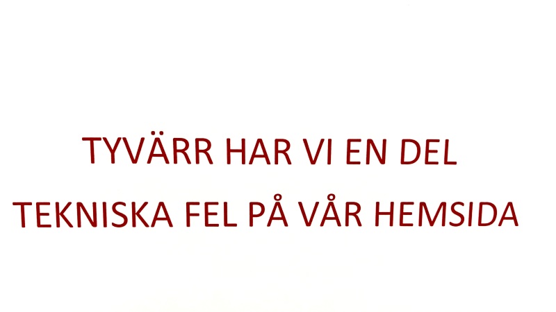 Texten: TYVÄRR HAR VI EN DEL TEKNISKA FEL PÅ VÅR HEMSIDA