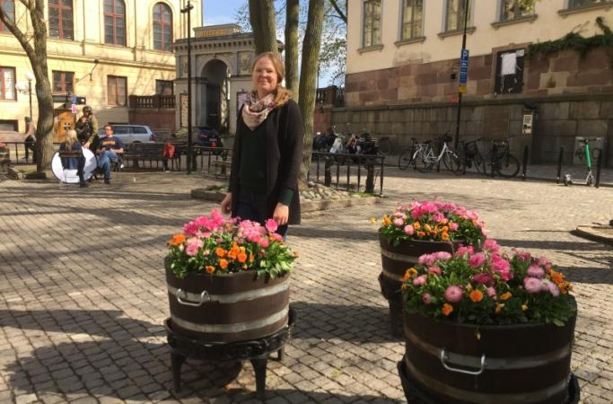 Tre trätunnor med rosa och gula blommor på stadstorg.