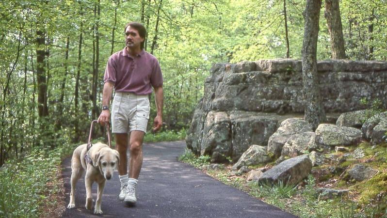 En man med en ljus ledarhund går i en skogsmiljö på en asfaltsväg.