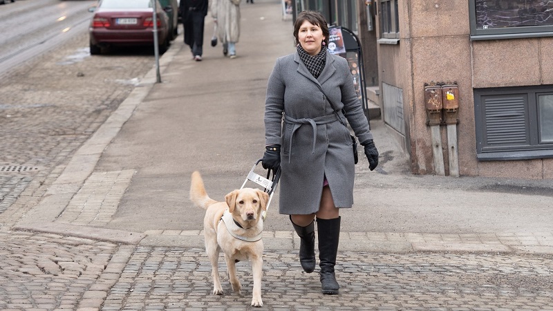 En mörkhårig kvinna i grå yllekappa och svarta knälånga läderstövlar korsar ett övergångsställe med en gul labrador retriever i en sele i handen.