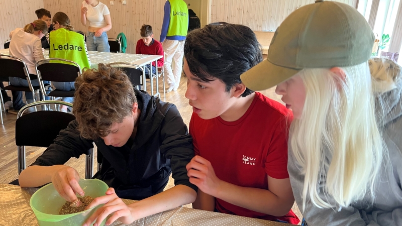 Bland strössel, maränger och kamrater på Kärsölägret