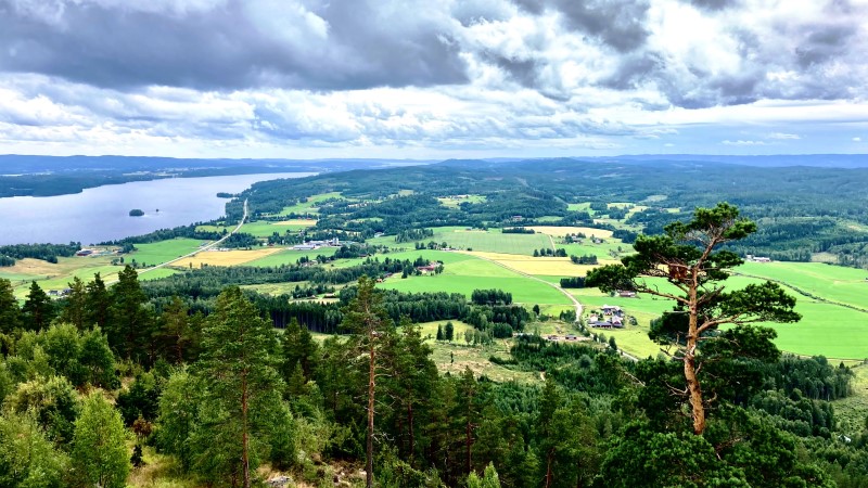 Foto från hög höjd, barrträd i förgrunden, fält, sjön Fryken långt bort, blå himmel , stora moln