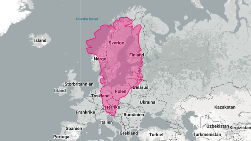 En kartbild i grått och vitt som visar större delen av Europa och Ryssland med Sverige i mitten. Över Sverige ligger konturerna av Grönland i rosa för att visa storlekskillnaden, där Grönland är betydligt större och sydspetsen når ner till södra Europa.